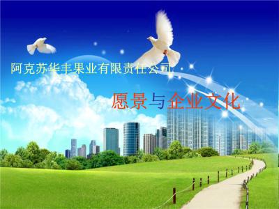 公司员工羽毛球活动策划方案 羽动身心，聚力前行